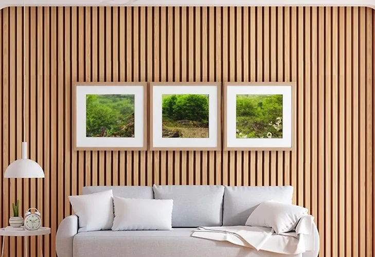 Die Vorteile des WPC -Wallboards.